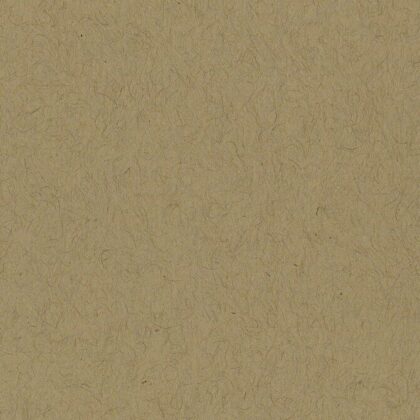 Papel Bazzill Smoothie Kraft 12x12"